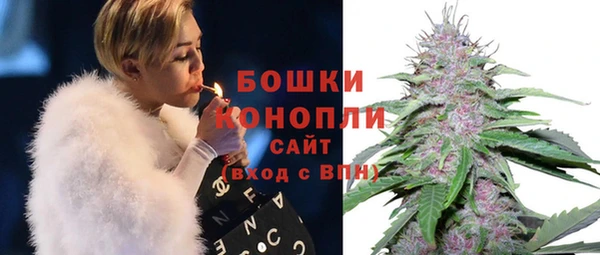 прущая мука Инта