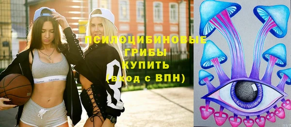 прущая мука Инта