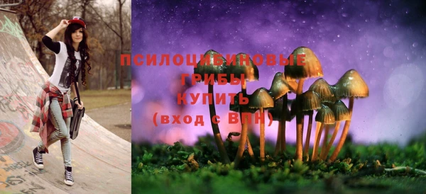 мескалин Инсар