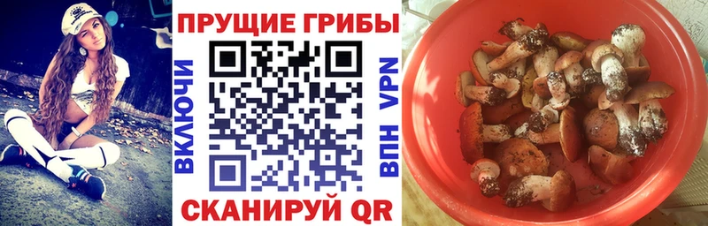 Купить  Верея  Псилоцибиновые грибы Magic Shrooms 